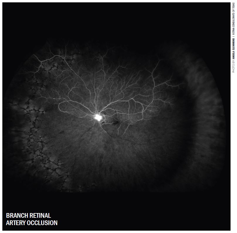 April 2022 Image of the Month